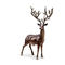 Escultura de tamaño natural de los ornamentos del césped de los ciervos del metal del bastidor/de los ciervos del bronce